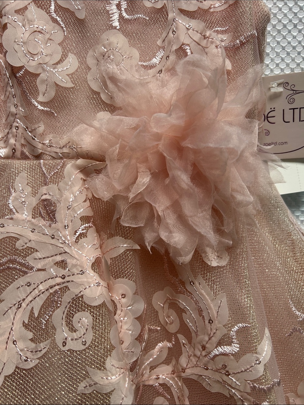 Zoe Ltd Stunning Blush Pale Pink Floral Lace Tulle Party Dress. Fully lined. NWT - Picture 3 of 6